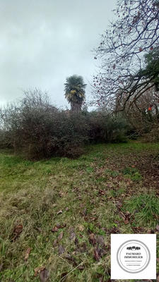 Maison - 217 m² - 8 pièces