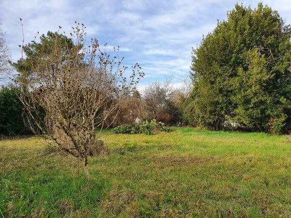 Terrain constructible - 730 m²