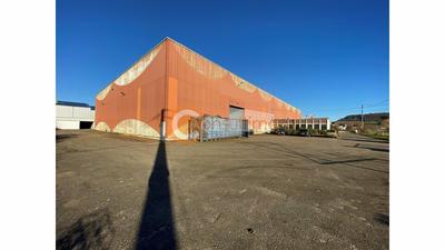 Local d'activité / Entrepôt - 3 150 m²