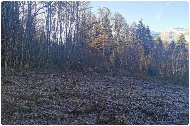 Terrain agricole - 15 405 m²