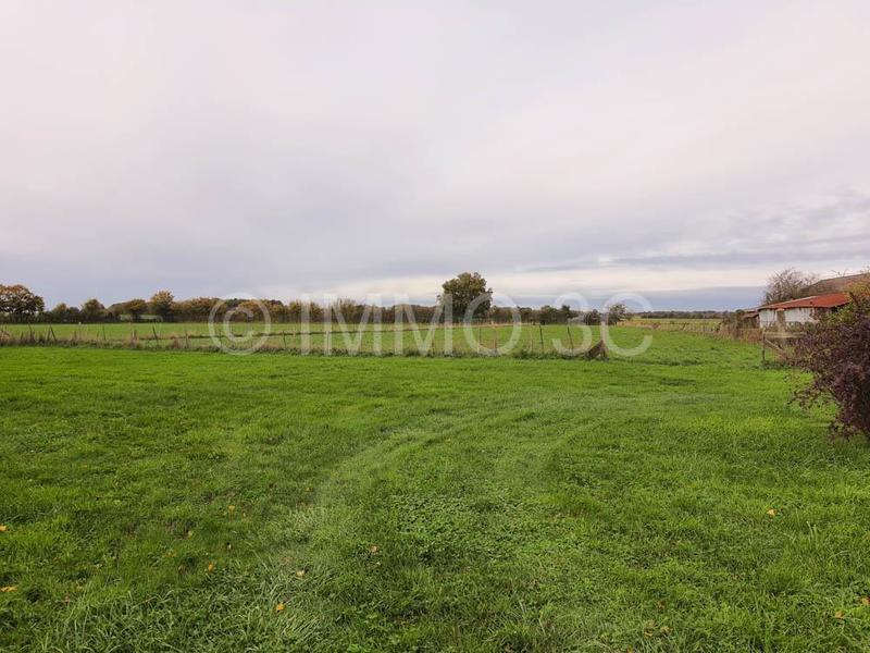 Maison - 313 m² - 11 pièces