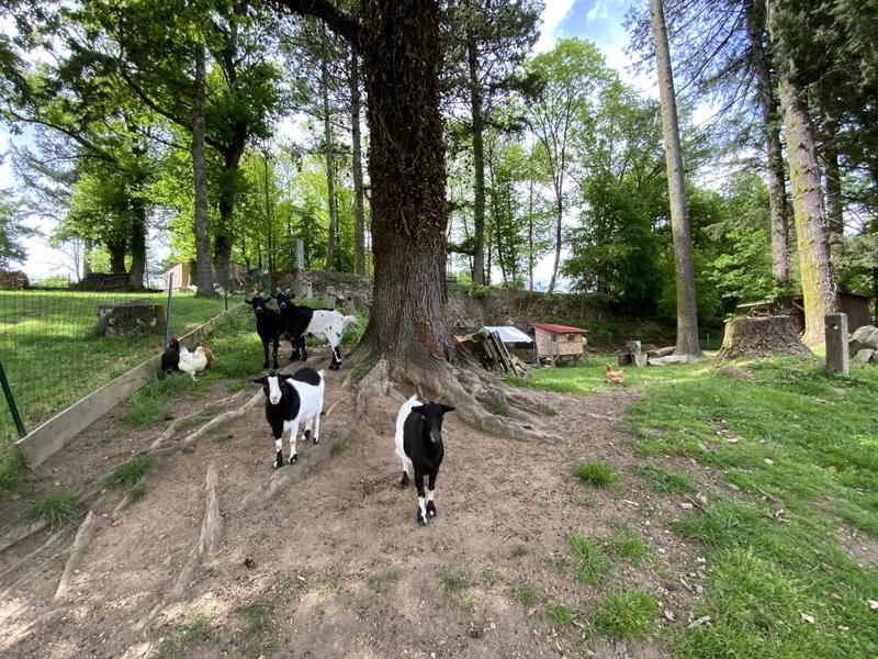 Maison - 235 m² - 9 pièces