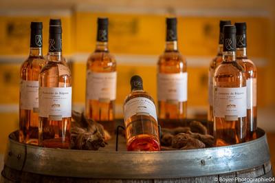 Boyer-Photographie 04