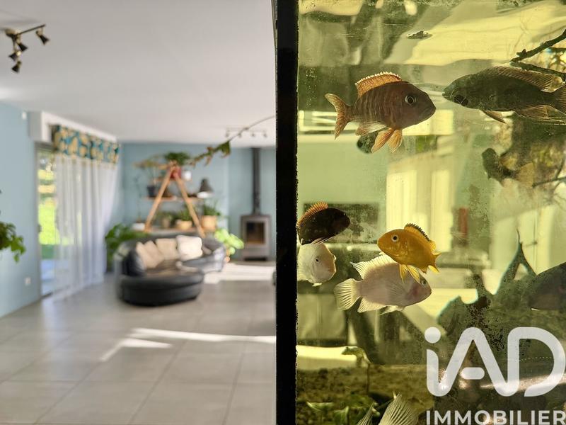 Maison - 217 m² - 8 pièces