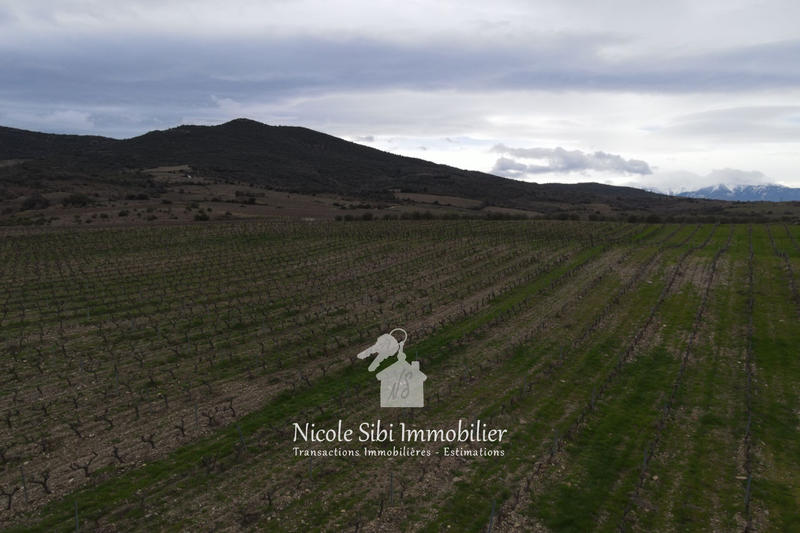 Terrain agricole - 23 527 m²