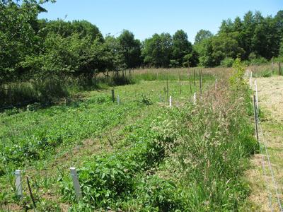 Maison - 157 m² - 3 pièces