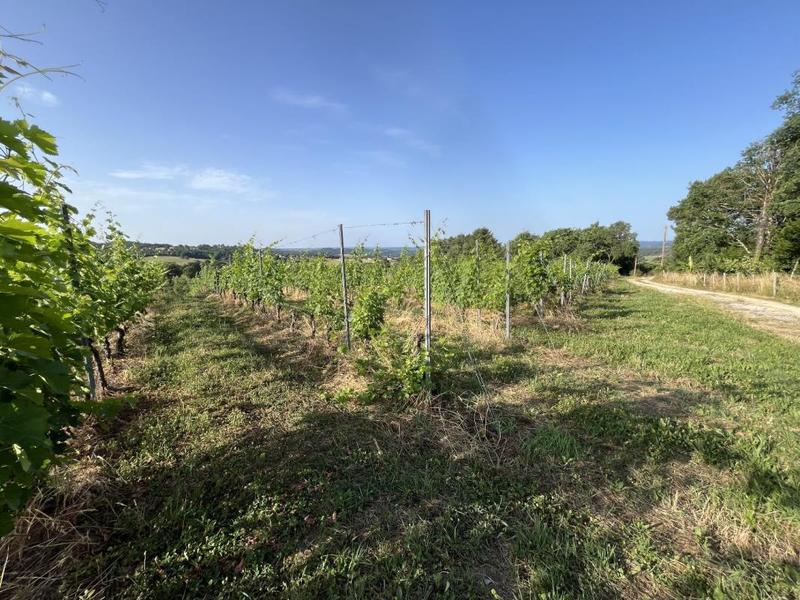 Terrain - 20 000 m²