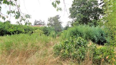 Terrain - 910 m²