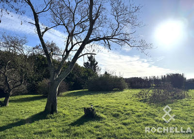 Maison ancienne - 140 m² - 5 pièces