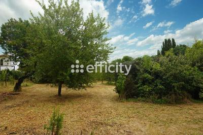 Terrain - 1 274 m²