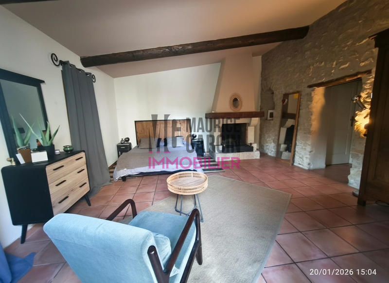 Maison - 250 m² - 7 pièces