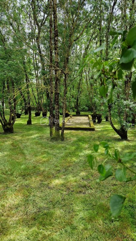 Pavillon - 80 m² - 3 pièces