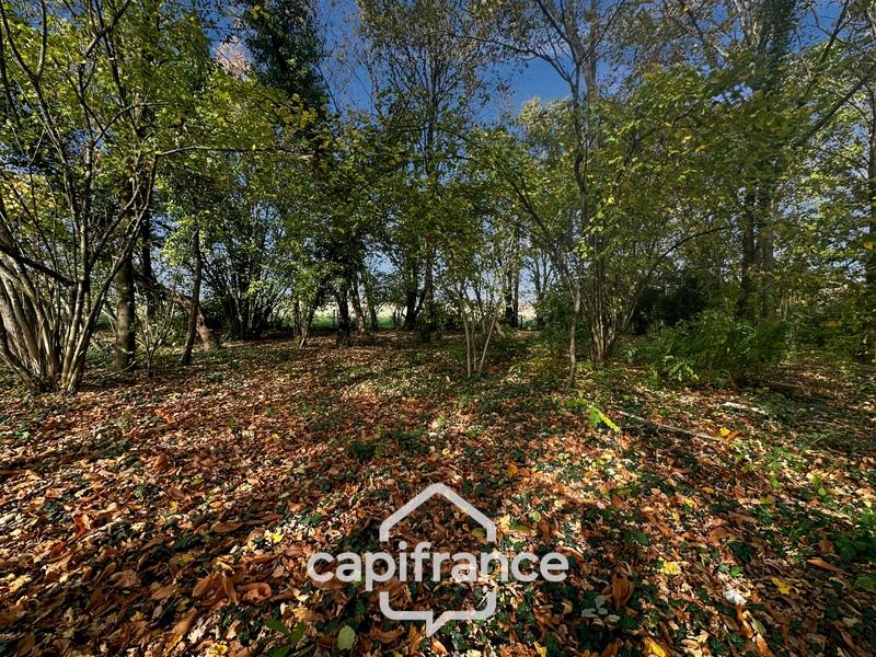 Terrain de loisirs - 4 500 m²