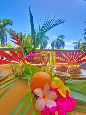 Studio - 20 m² - 1 pièce