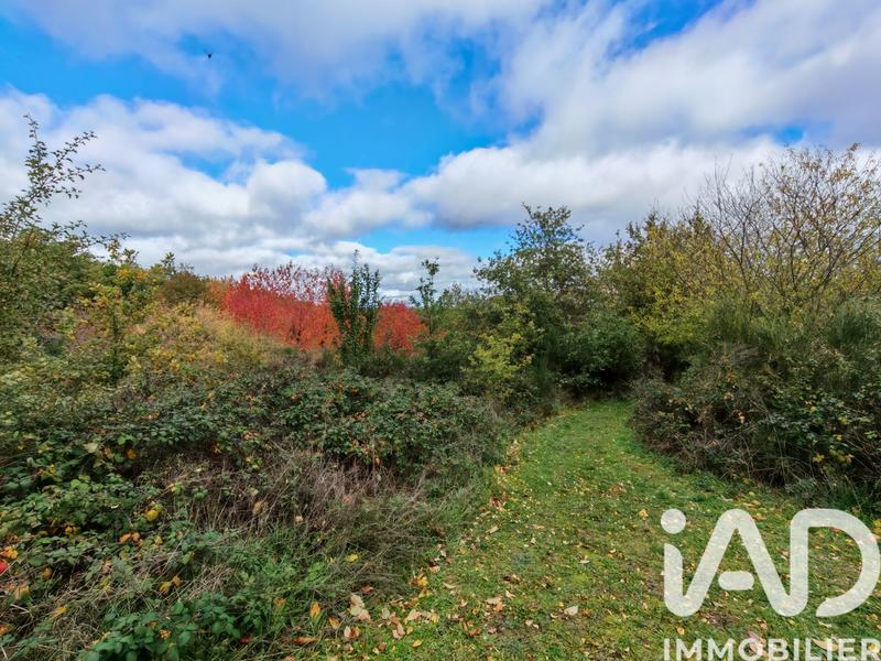 Terrain - 113 246 m²