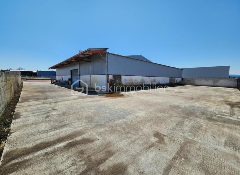 Bureau - 770 m² - 8 pièces