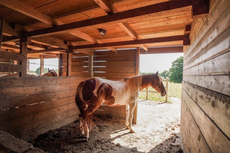 Haras - 352 m² - 8 pièces