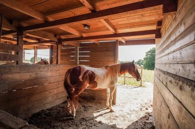 Haras - 352 m² - 8 pièces