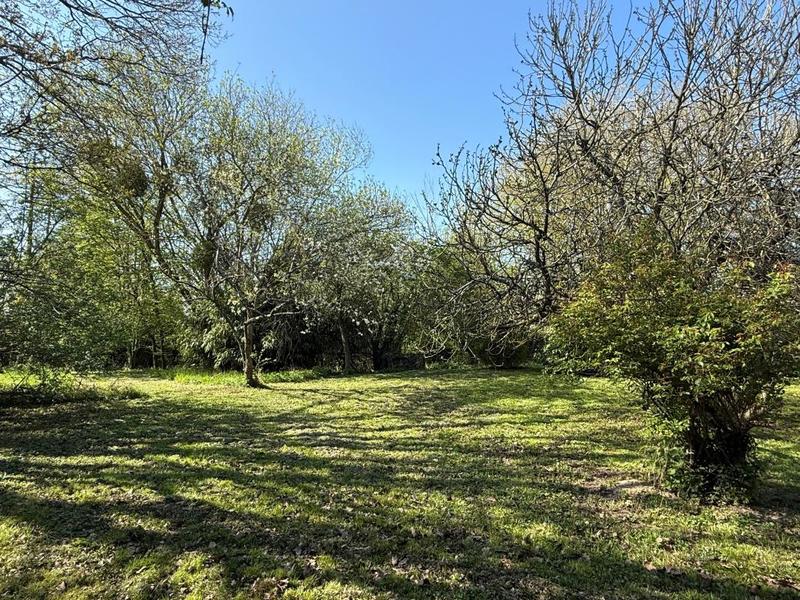 Maison - 147 m² - 5 pièces