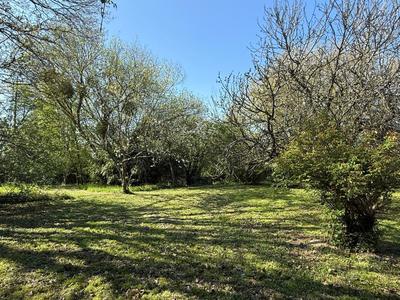 Maison - 147 m² - 5 pièces