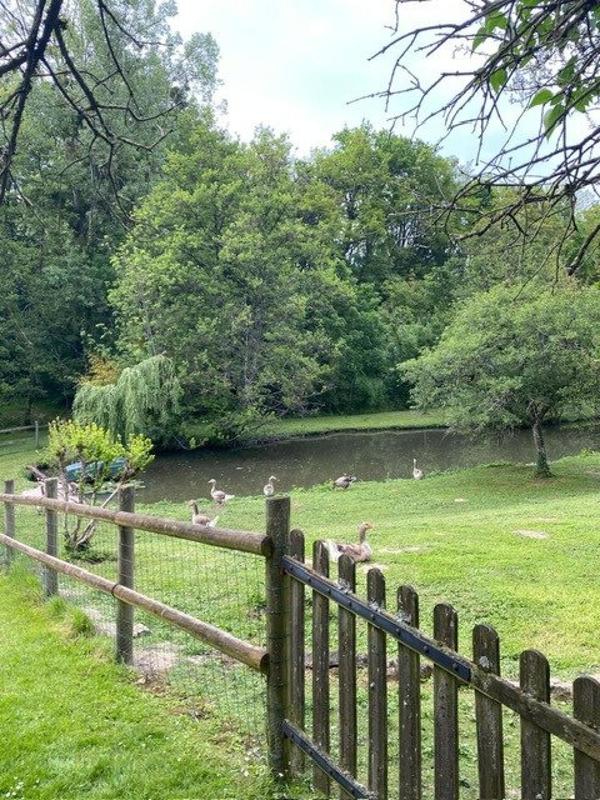 Maison - 175 m² - 7 pièces