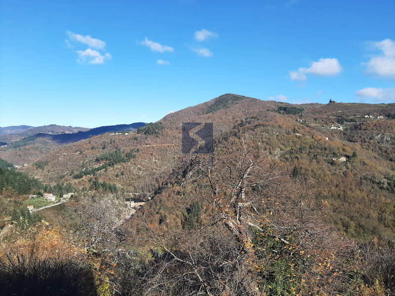 Maison de village - 58 m² - 3 pièces