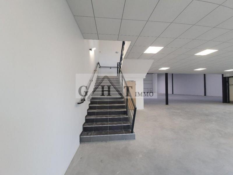 Entrepôt - 1 281 m²