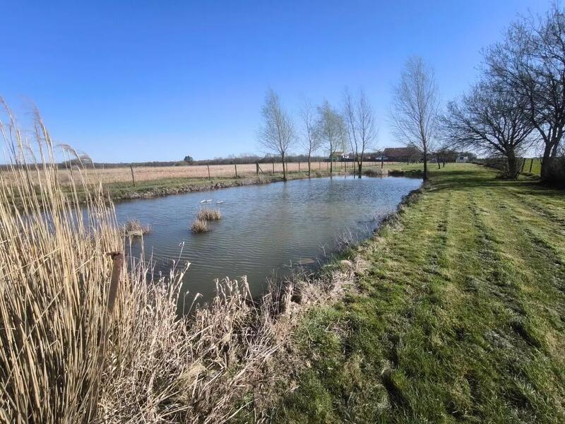 Maison - 220 m² - 8 pièces