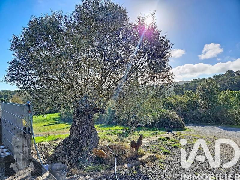 Maison - 83 m² - 3 pièces