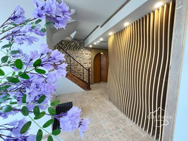 Maison chambre d'hôtes - 426 m² - 13 pièces