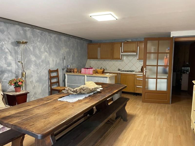 Viager - Maison - 205 m² - 7 pièces