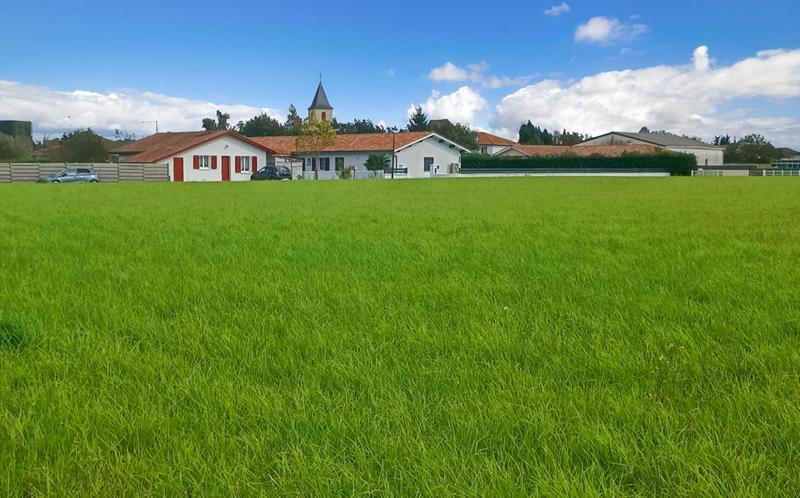 Terrain constructible - 11 000 m²