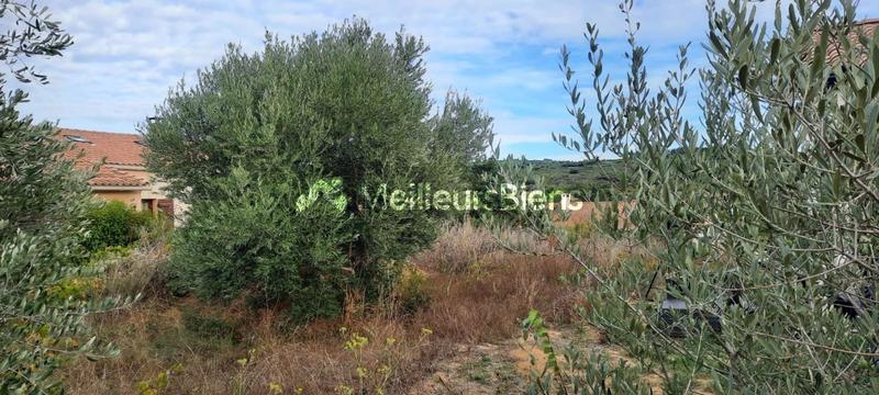 Terrain constructible - 268 m²