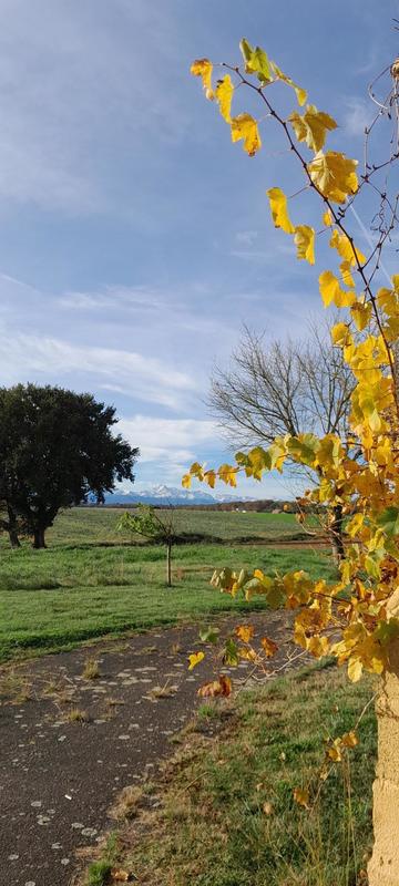 Maison - 130 m² - 4 pièces