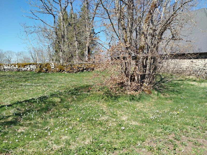 Ferme - 180 m² - 2 pièces