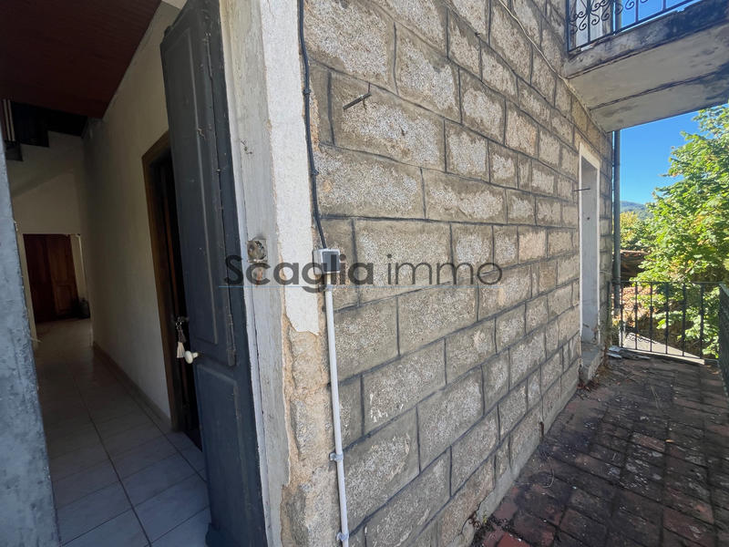 Maison - 250 m² - 8 pièces