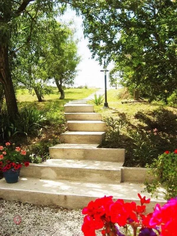 Propriété - 575 m² - 30 pièces