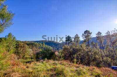 Terrain - 930 m²