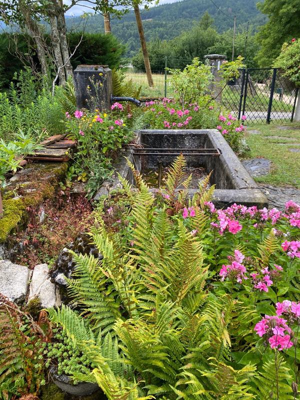 Maison - 335 m² - 10 pièces