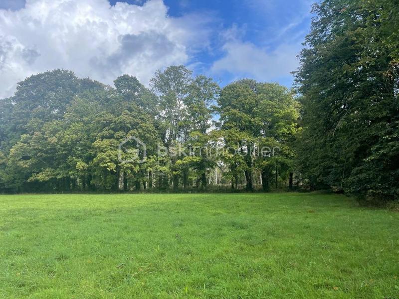 Immeuble - 2 595 m² - 24 pièces