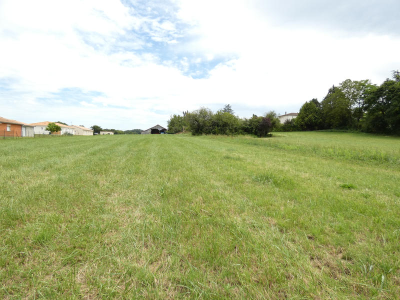 Terrain - 2 232 m²