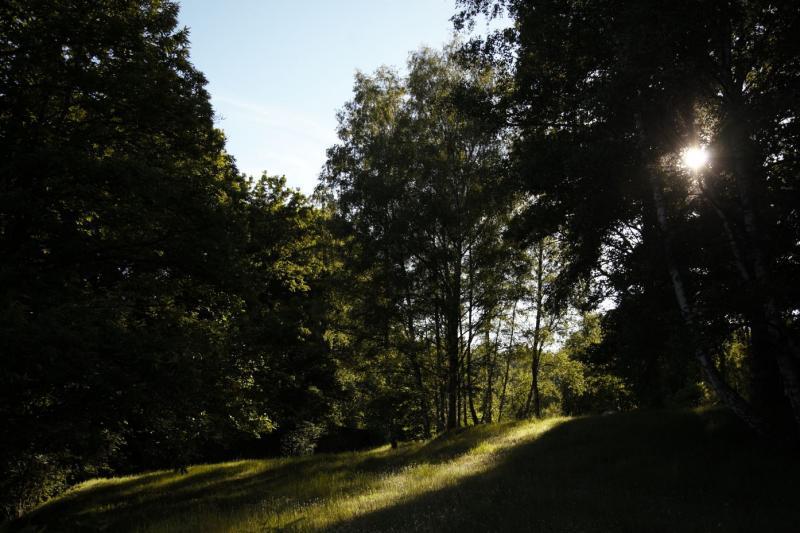 Maison - 31 m² - 2 pièces