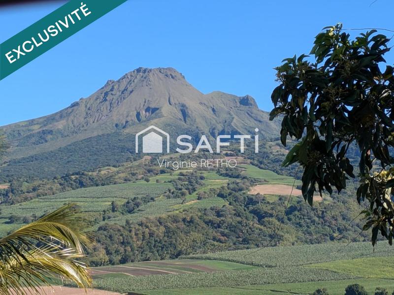 Appartement - 75 m² - 4 pièces