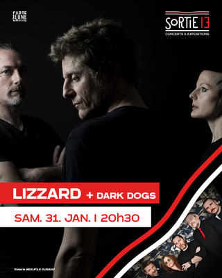 Lizzard + Dark Dogs