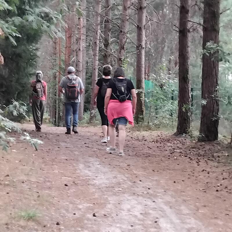 Jeûne, Yoga et Marche Consciente