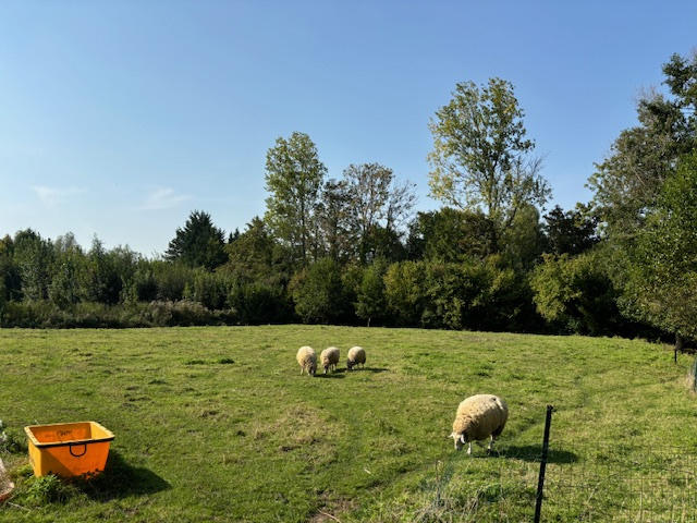 Maison - 297 m² - 8 pièces