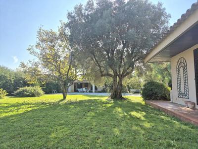 Maison - 316 m² - 8 pièces