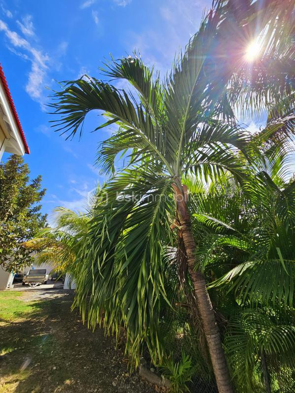 Propriété - 211 m² - 7 pièces