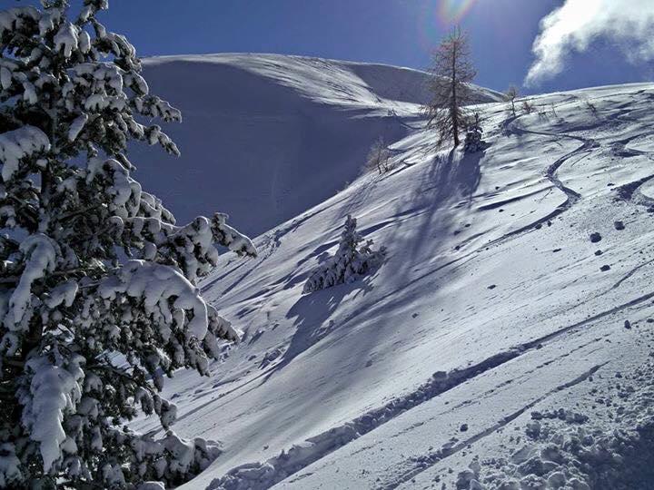 Appartement - 31 m² - 2 pièces