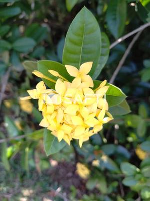 Villa - 176 m² - 4 pièces